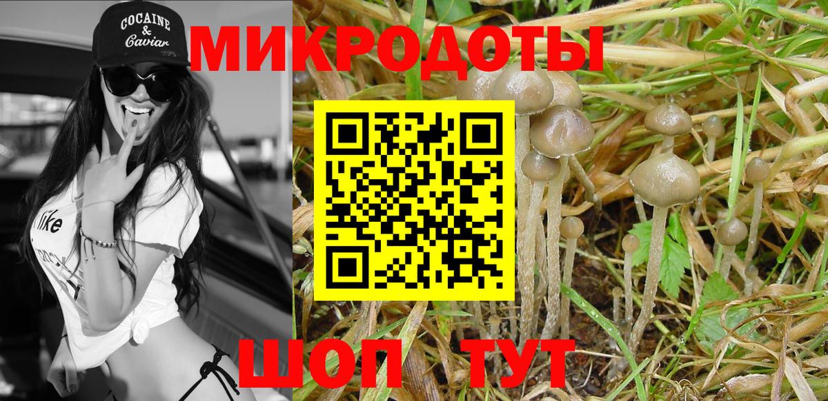 Псилоцибиновые грибы Magic Shrooms Светлоград