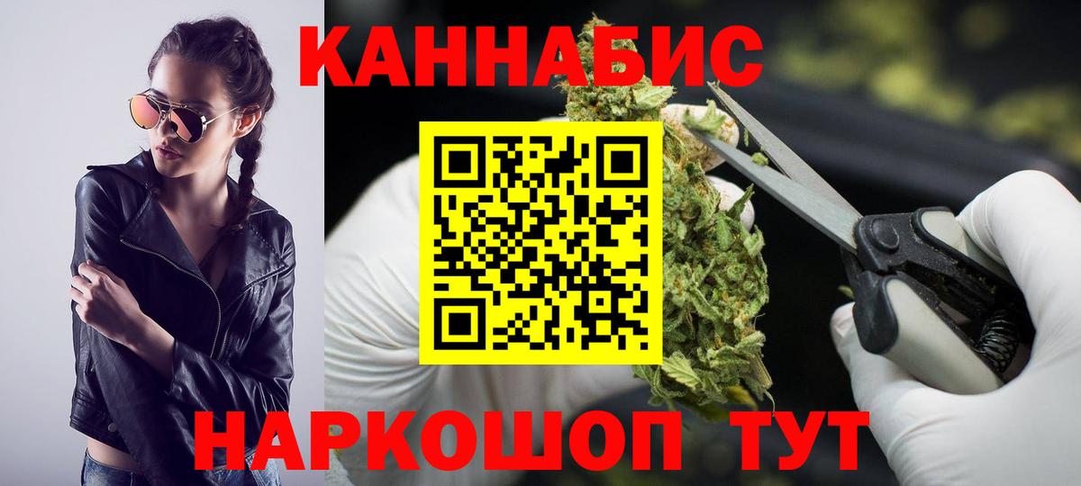 Канабис планчик Светлоград